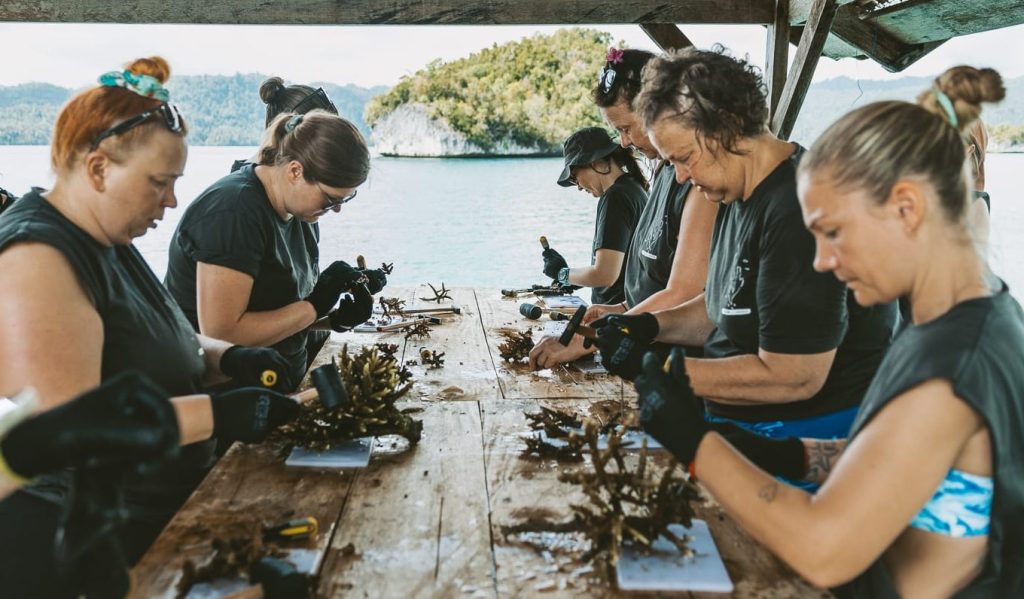 Coral Restoration in Raja Ampat: Katembe’s Marine Conservation Project