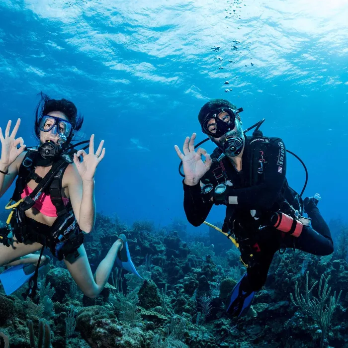 Diving Package at Katembe Raja Ampat - Private Island