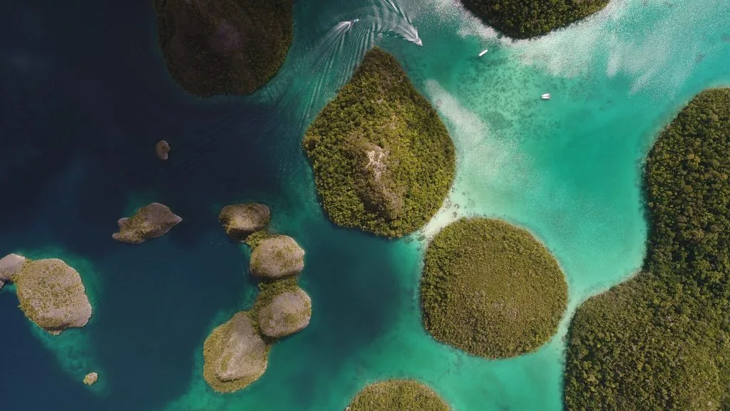 Raja Ampat: Indonesia’s Crown Jewel – 5 Must-Visit Spots in This Tropical Paradise