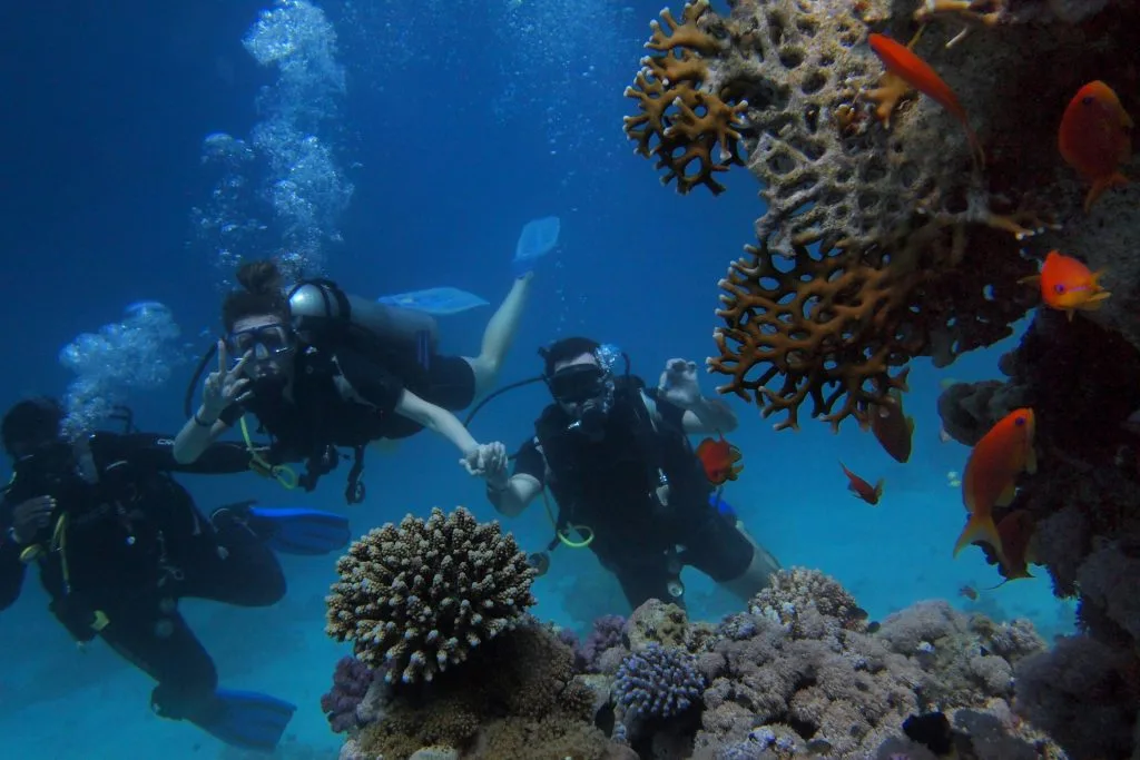 Diving Package - PADI Open Water Certification 6D5N (4 Dives)