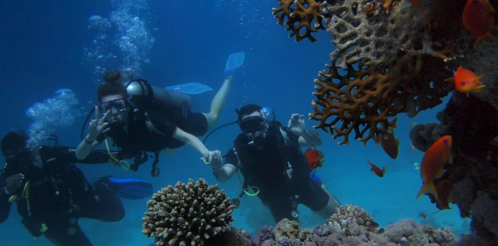 Diving Package - PADI Open Water Certification 6D5N (4 Dives)