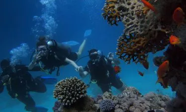 PADI Dive Center at Katembe Private Island Raja Ampat