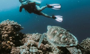 Diver exploring coral reef alongside a swimming sea turtle in clear tropical waters.