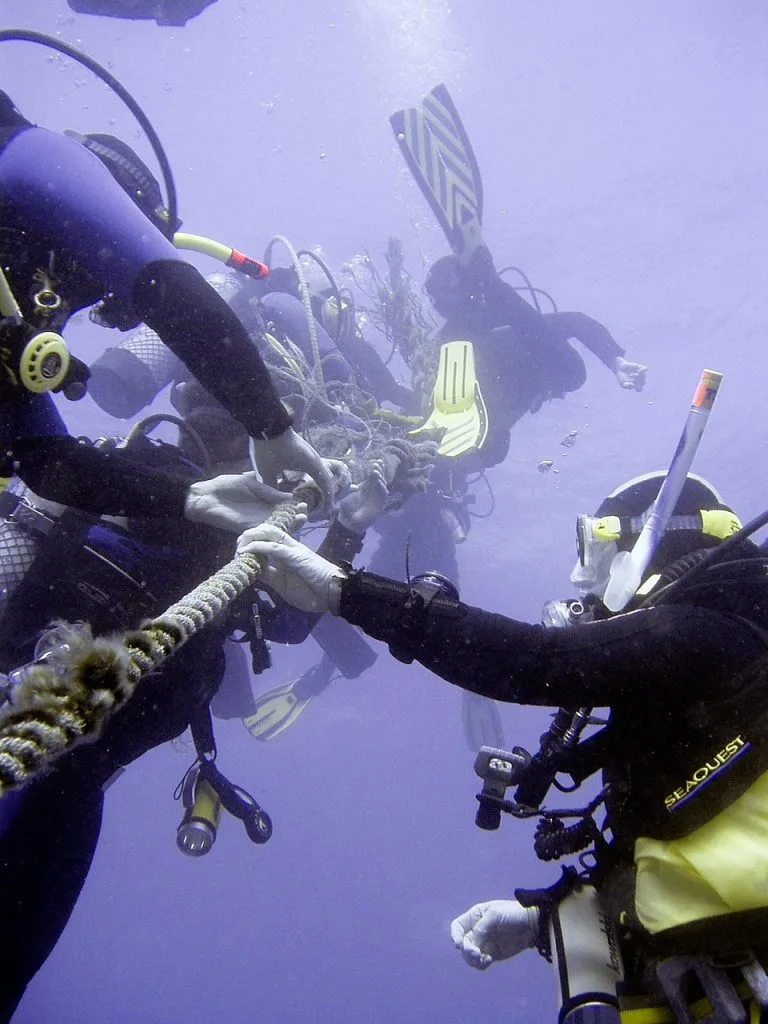 Diving Package - PADI Divemaster Certification 15D14N (10 Dives)