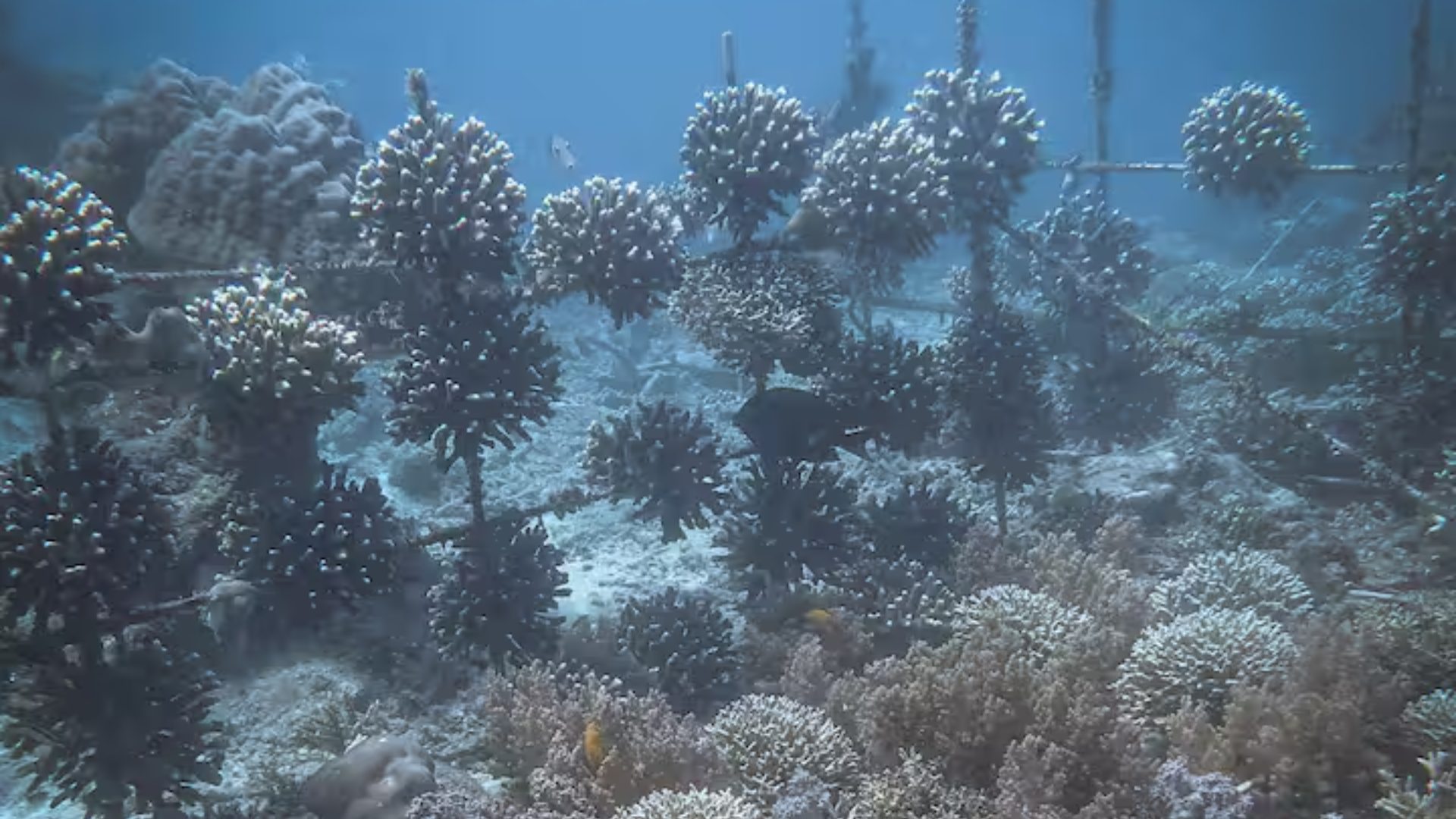 two-weeks-at-katembe-private-island-escape-in-raja-ampat