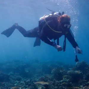 Diving Package Katembe Private Island Raja Ampat