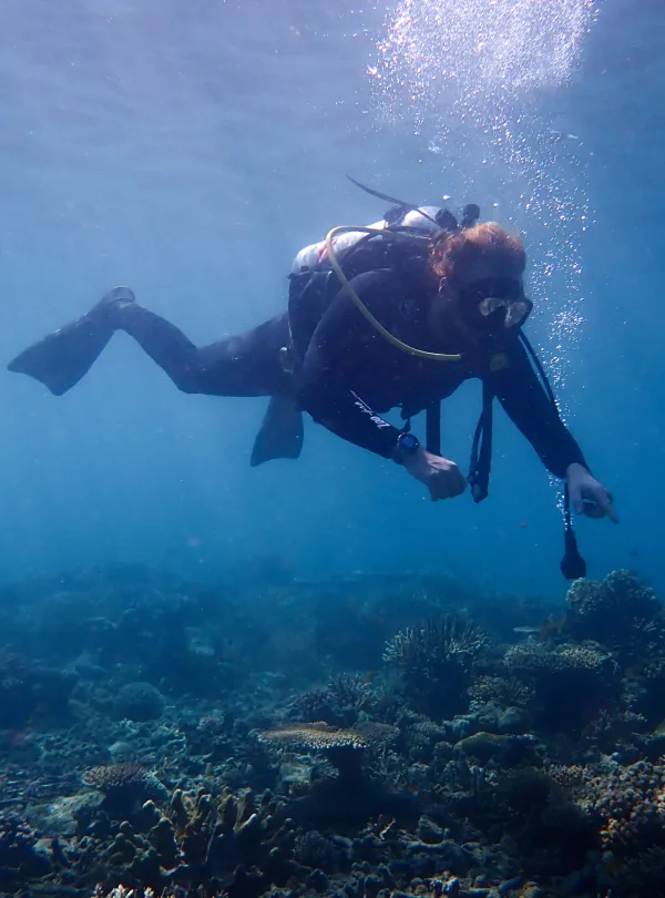 Diving Package Katembe Private Island Raja Ampat