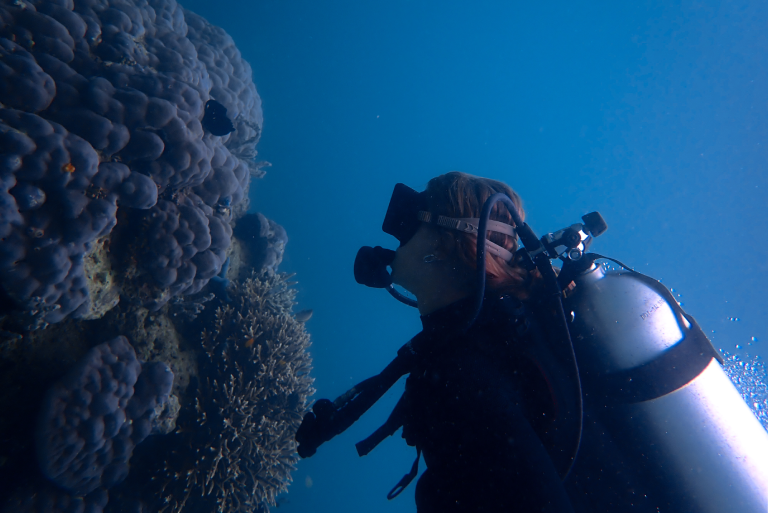 PADI Diving Katembe Private Island Raja Ampat