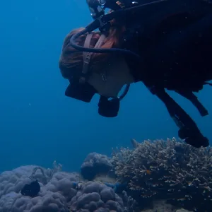 PADI Rescue Certification KTMB