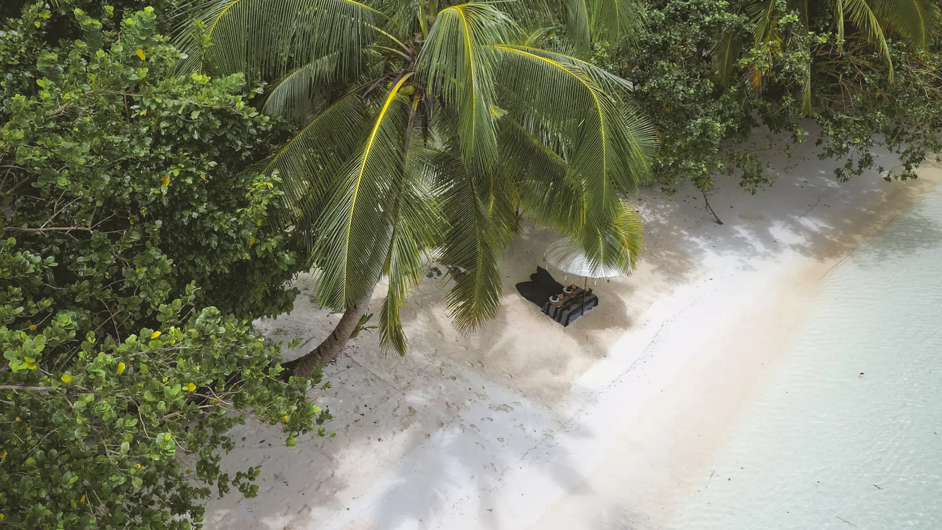 Think You’ll Get Bored Staying on the Island in Raja Ampat? Think Again