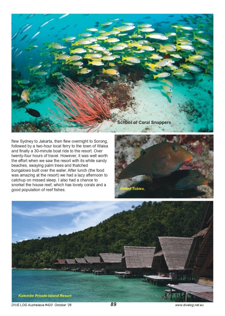 Based on the feature "Return to Raja Ampat" by Nigel Marsh, text and photos by Nigel Marsh, published in Dive Log Australasia #420, October 2026, pages 88–93 (www.divelog.net.au).