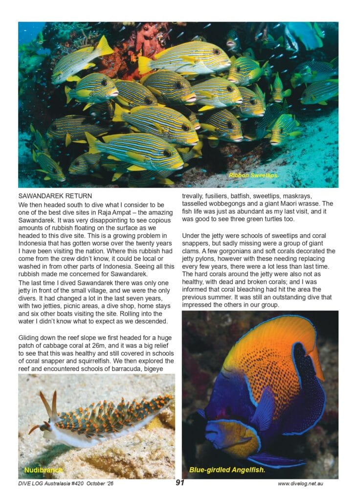 Based on the feature "Return to Raja Ampat" by Nigel Marsh, text and photos by Nigel Marsh, published in Dive Log Australasia #420, October 2026, pages 88–93 (www.divelog.net.au).